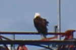 resIMG_20170710_141926_8425c.jpg